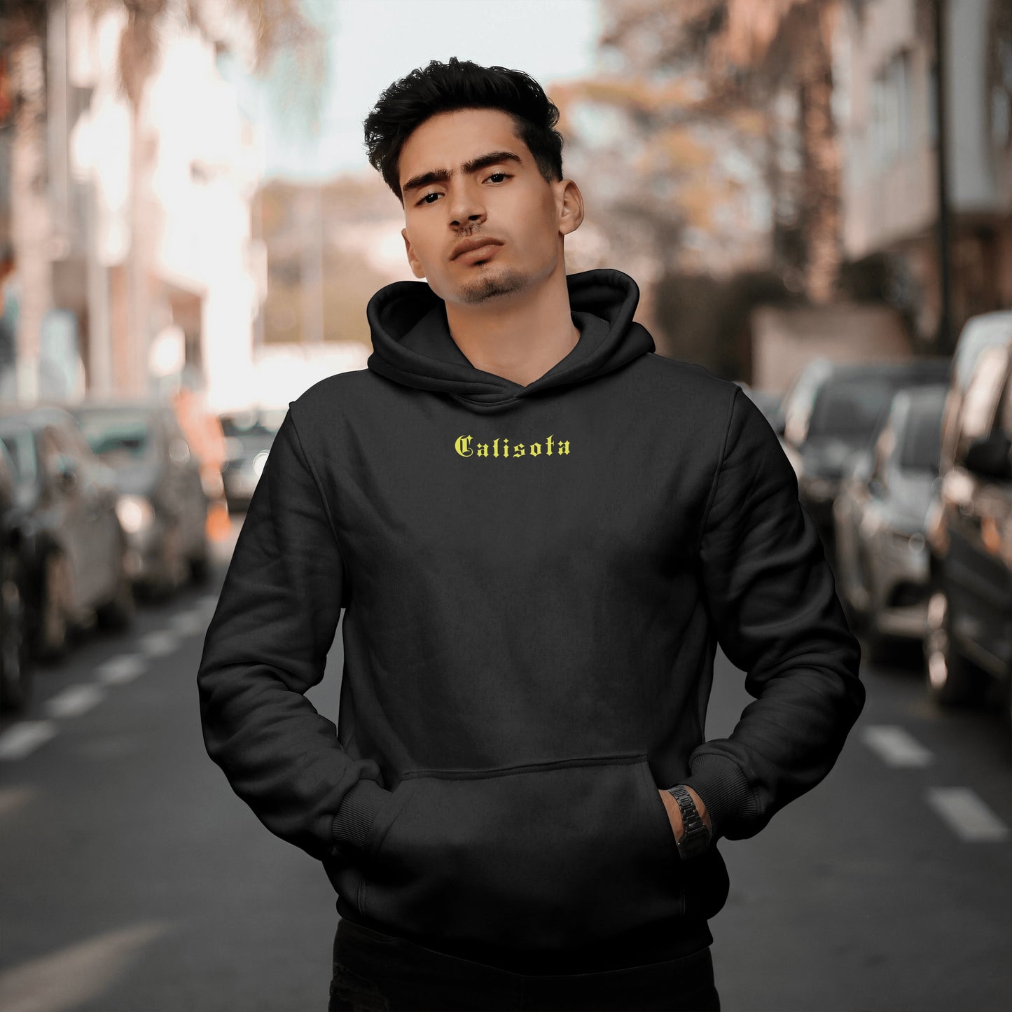 Calisota "LIfe's A Risk" Hoodie